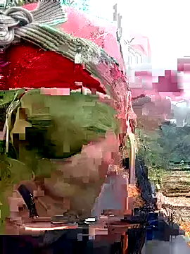 nui-show online show from October 24, 2025, 5:26 am