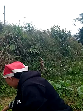 nui-show online show from November 22, 2025, 6:01 am