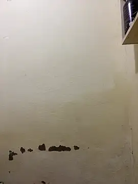 Snapshot of yoryy07 chatting on March 14, 2026, 2:00 pm yoryy07 online show from March 14, 2026, 2:00 pm