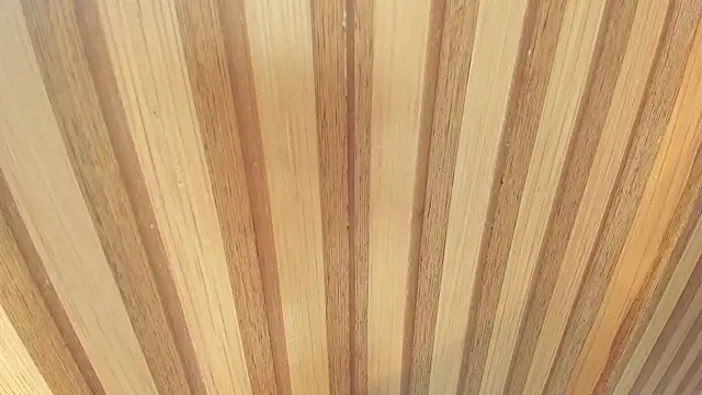 Snapshot of mia__blaze__ chatting on December 22, 2025, 3:03 am mia blaze online show from December 22, 2025, 3:03 am