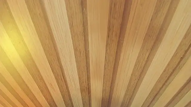 Snapshot of mia__blaze__ chatting on January 13, 2026, 3:01 am mia blaze online show from January 13, 2026, 3:01 am