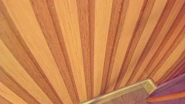 Snapshot of mia__blaze__ chatting on January 15, 2026, 3:00 am mia blaze online show from January 15, 2026, 3:00 am