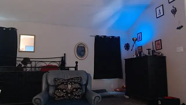 Snapshot of ImKatMeow chatting on February 16, 2026, 6:48 pm ImKatMeow online show from February 16, 2026, 6:48 pm
