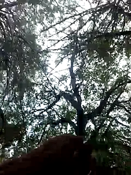 Snapshot of Labellasex chatting on December 20, 2025, 7:10 pm Labellasex online show from December 20, 2025, 7:10 pm