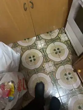 Anaconda Negra20 online show from December 16, 2025, 6:13 pm