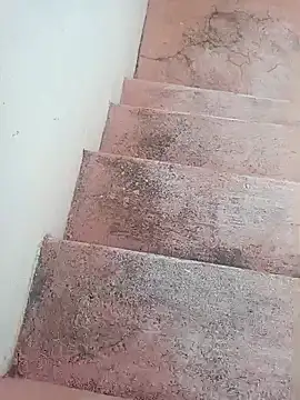 kumarstelugu online show from October 20, 2025, 7:20 am