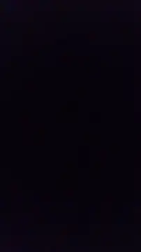 Sfdocom online show from November 27, 2025, 2:24 am