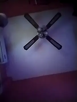 Snapshot of Danii2005 chatting on November 12, 2025, 6:52 pm Danii2005 online show from November 12, 2025, 6:52 pm