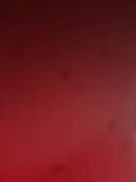 pedro14ARh online show from October 24, 2025, 8:16 pm