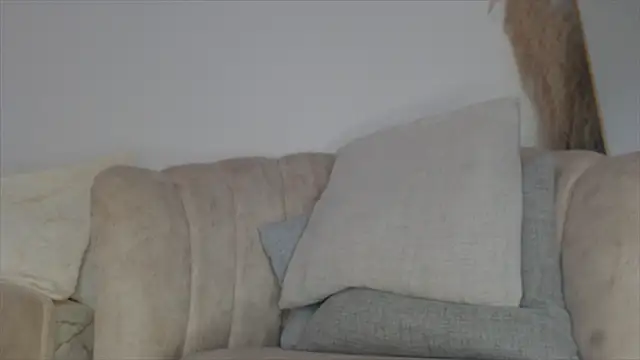 Snapshot of Trissa_Benson chatting on March 14, 2026, 3:17 pm Trissa Benson online show from March 14, 2026, 3:17 pm