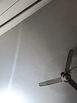 Snapshot of alfarabisami chatting on February 13, 2026, 6:37 pm alfarabisami online show from February 13, 2026, 6:37 pm