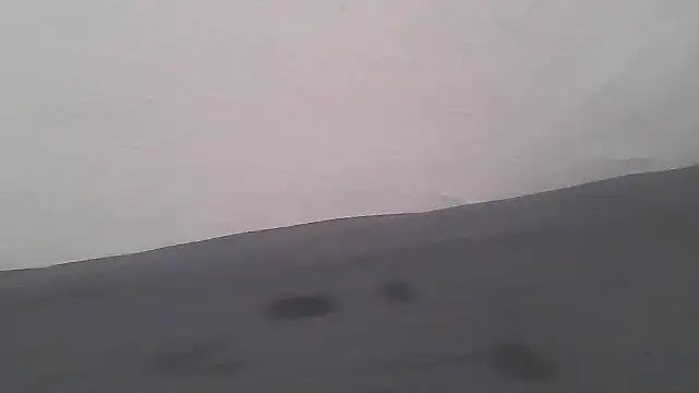 Snapshot of Femaleking29 chatting on November 8, 2025, 10:15 am Femaleking29 online show from November 8, 2025, 10:15 am