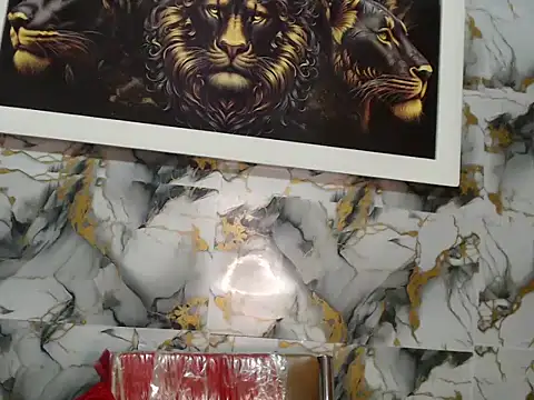 Snapshot of Rigel_paxs chatting on November 18, 2025, 6:01 pm Rigel paxs online show from November 18, 2025, 6:01 pm