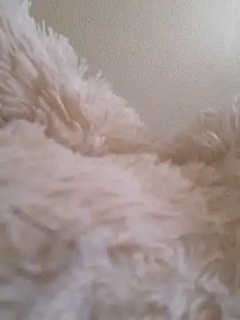 Snapshot of Bruninhadeusa chatting on December 19, 2025, 10:33 am Bruninhadeusa online show from December 19, 2025, 10:33 am