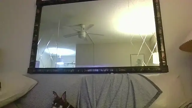 Snapshot of KosherCo313 chatting on November 23, 2025, 1:27 am KosherCo313 online show from November 23, 2025, 1:27 am