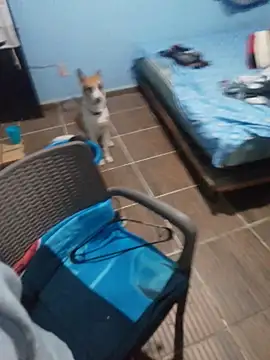 Snapshot of 666Daemon666 chatting on January 17, 2026, 5:12 am 666Daemon666 online show from January 17, 2026, 5:12 am