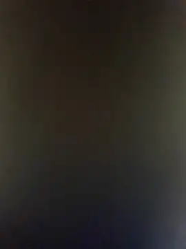 BulbasaurIsmettv online show from November 11, 2025, 7:30 am