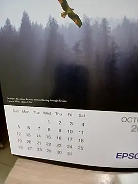 Kolkatacock06 online show from October 24, 2025, 2:02 pm