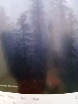 Kolkatacock06 online show from October 26, 2025, 6:03 pm