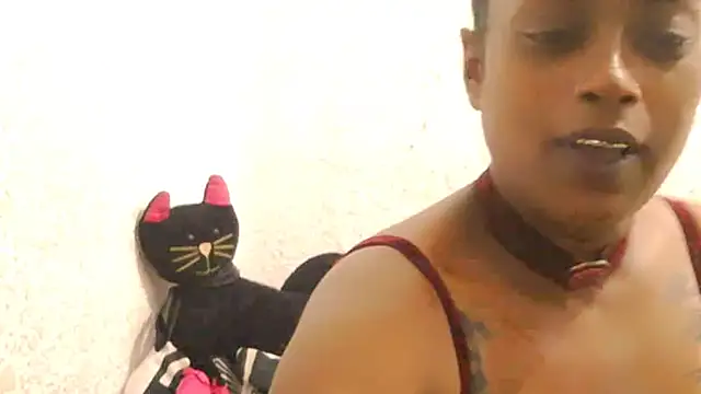 Snapshot of DOVE85 chatting on December 15, 2025, 11:47 am DOVE85 online show from December 15, 2025, 11:47 am