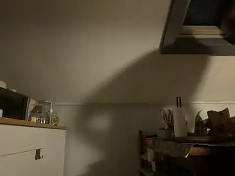 Snapshot of davi73d chatting on December 14, 2025, 3:01 am davi73d online show from December 14, 2025, 3:01 am