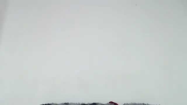 Mia fox29 online show from October 31, 2025, 1:01 pm