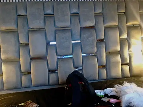 Memi xxx online show from November 5, 2025, 3:50 am