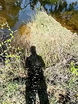 devil boy 0909 online show from November 7, 2025, 5:29 am