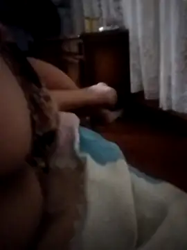 Snapshot of pampa4456 chatting on December 16, 2025, 5:23 am pampa4456 online show from December 16, 2025, 5:23 am