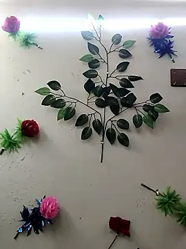 Snapshot of Indian-Glory chatting on January 14, 2026, 8:47 pm Indian-Glory online show from January 14, 2026, 8:47 pm