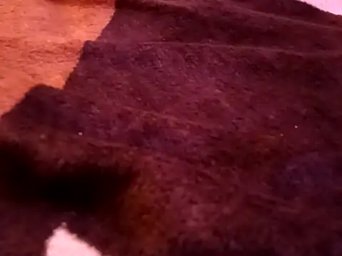 Snapshot of bigtelugubhama chatting on February 7, 2026, 8:23 pm bigtelugubhama online show from February 7, 2026, 8:23 pm