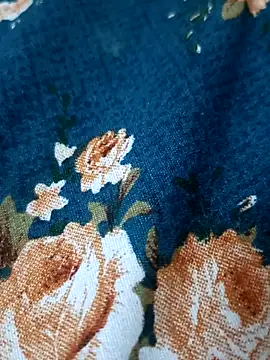 Snapshot of bigtelugubhama chatting on February 17, 2026, 7:09 pm bigtelugubhama online show from February 17, 2026, 7:09 pm