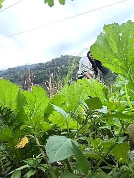 heodat-sexx online show from December 17, 2025, 9:48 am