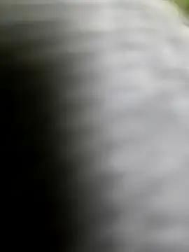 Snapshot of playboy210600 chatting on February 5, 2026, 2:33 pm playboy210600 online show from February 5, 2026, 2:33 pm