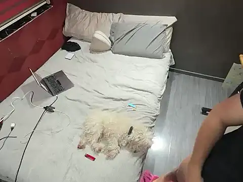 Snapshot of Bbydaddy_0 chatting on January 19, 2026, 9:57 am Bbydaddy 0 online show from January 19, 2026, 9:57 am