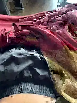 Snapshot of ankitmishra0527 chatting on November 1, 2025, 11:45 am ankitmishra0527 online show from November 1, 2025, 11:45 am