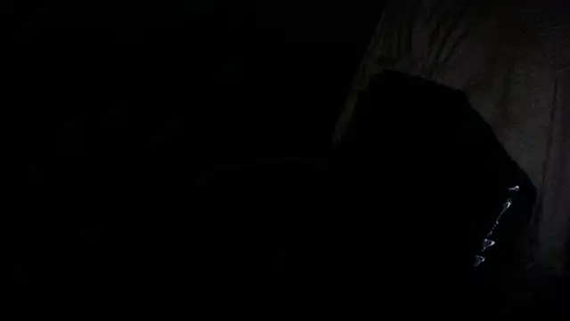 gygyfox online show from November 21, 2025, 10:52 pm