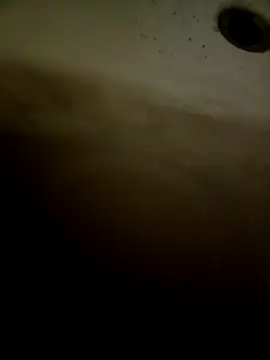 Snapshot of pino870 chatting on February 11, 2026, 12:32 pm pino870 online show from February 11, 2026, 12:32 pm