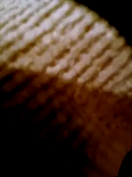 Snapshot of pino870 chatting on February 17, 2026, 4:24 pm pino870 online show from February 17, 2026, 4:24 pm