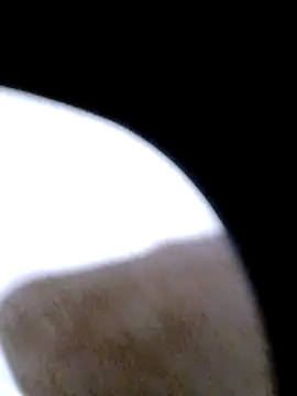 Snapshot of pino870 chatting on February 20, 2026, 12:29 am pino870 online show from February 20, 2026, 12:29 am