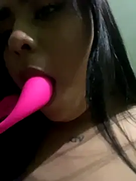 Belka14 online show from December 14, 2025, 4:07 am