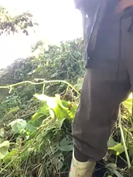 bi-bo123 online show from January 12, 2026, 3:12 am