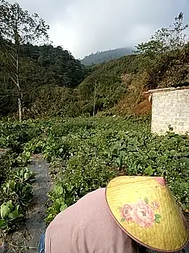 min nyny online show from December 2, 2025, 1:22 am