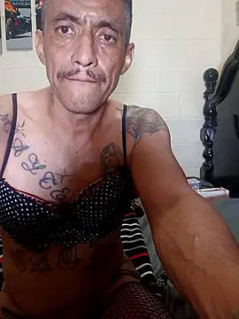 Snapshot of Innsacianle chatting on February 20, 2026, 7:10 am Innsacianle online show from February 20, 2026, 7:10 am