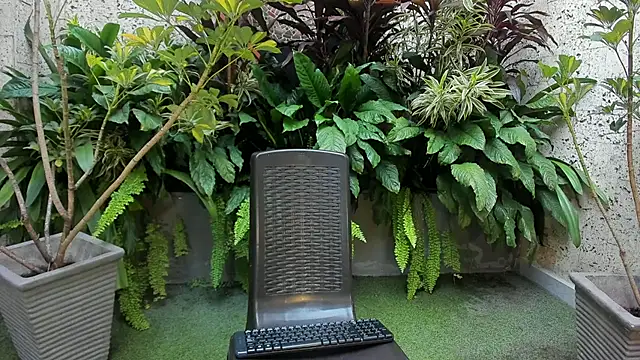 Snapshot of Staarhot chatting on February 1, 2026, 12:26 pm Staarhot online show from February 1, 2026, 12:26 pm