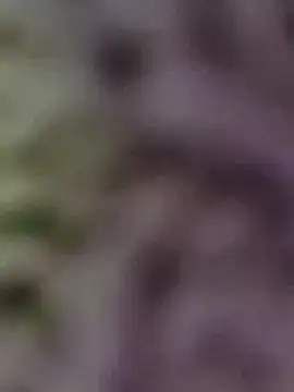 Snapshot of Hot-Sana2 chatting on January 13, 2026, 1:49 pm Hot-Sana2 online show from January 13, 2026, 1:49 pm