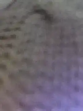 Snapshot of Hot-Sana2 chatting on February 23, 2026, 2:25 pm Hot-Sana2 online show from February 23, 2026, 2:25 pm