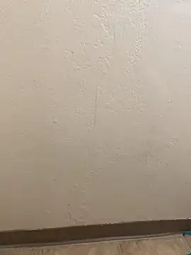 Snapshot of 2horny4all chatting on January 6, 2026, 7:28 pm 2horny4all online show from January 6, 2026, 7:28 pm