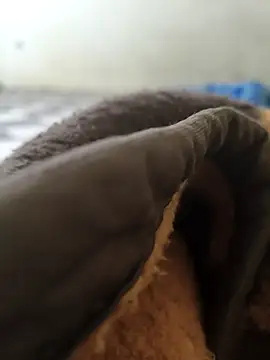 Snapshot of Realverse chatting on November 5, 2025, 4:40 pm Realverse online show from November 5, 2025, 4:40 pm