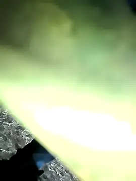 Snapshot of Realverse chatting on November 21, 2025, 4:49 pm Realverse online show from November 21, 2025, 4:49 pm